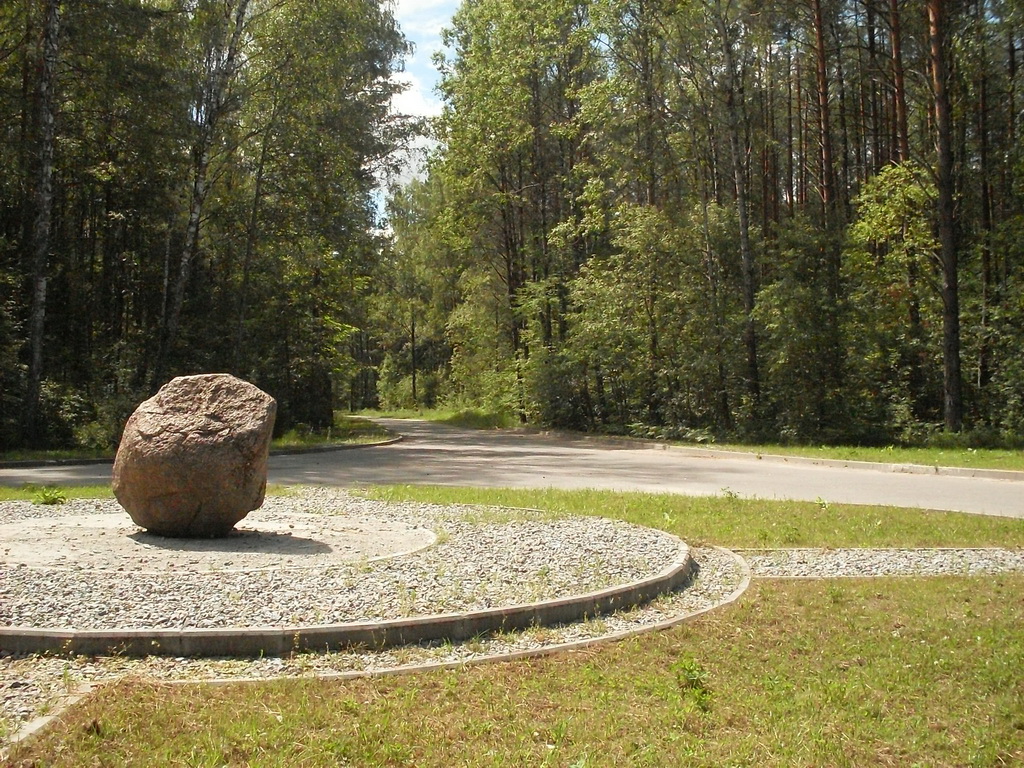 SDC10042.JPG