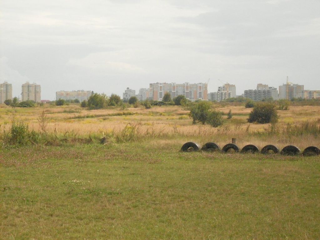 SDC10042_.jpg
