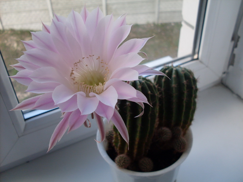 SDC10042_.jpg