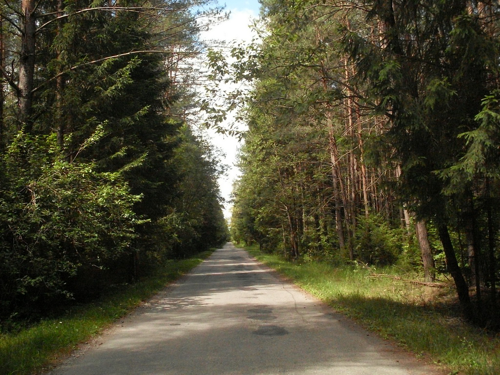 SDC10046.JPG