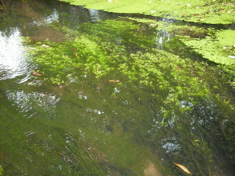 SDC10046_.jpg