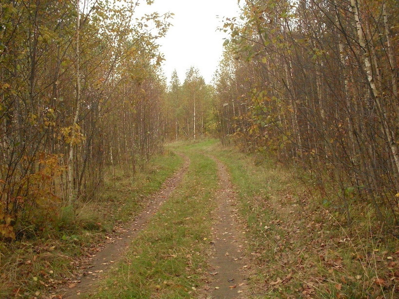 SDC10055_.jpg