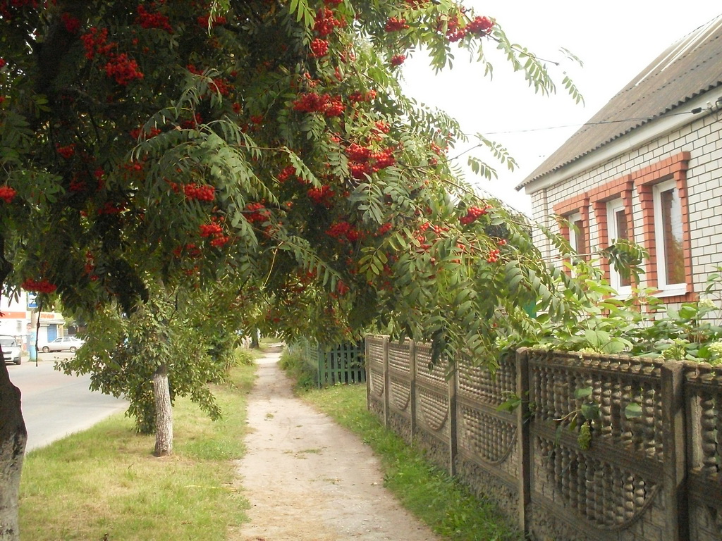 SDC10062_.jpg