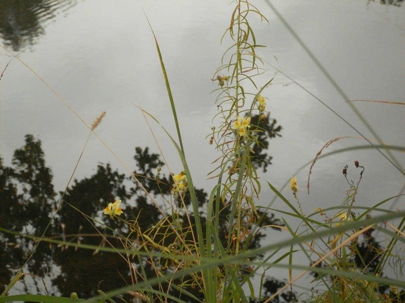 SDC10064_.jpg