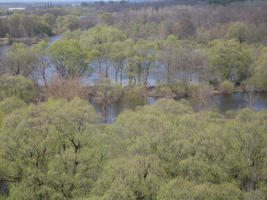 SDC10070.JPG