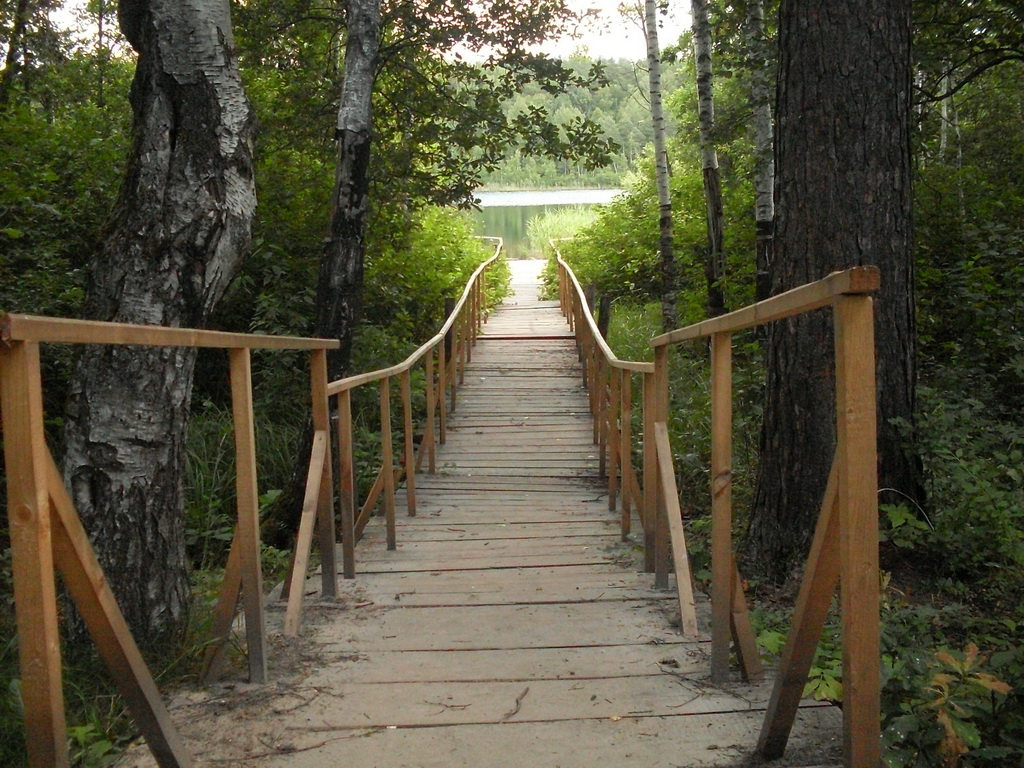 SDC10079.JPG