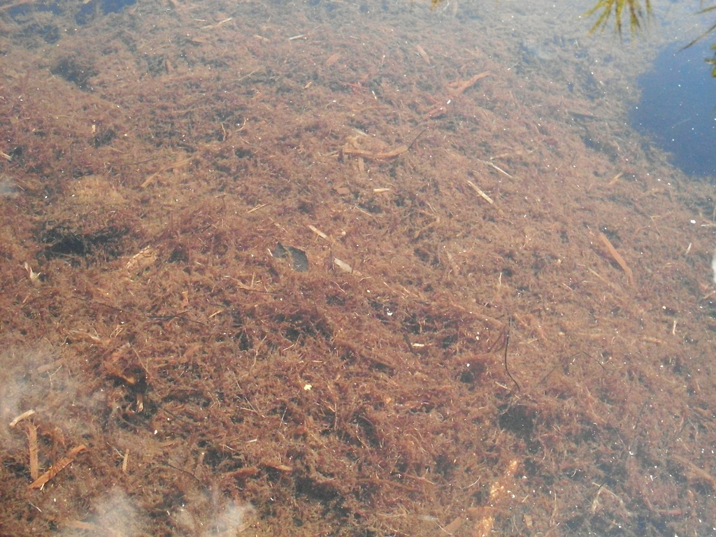SDC10089.JPG