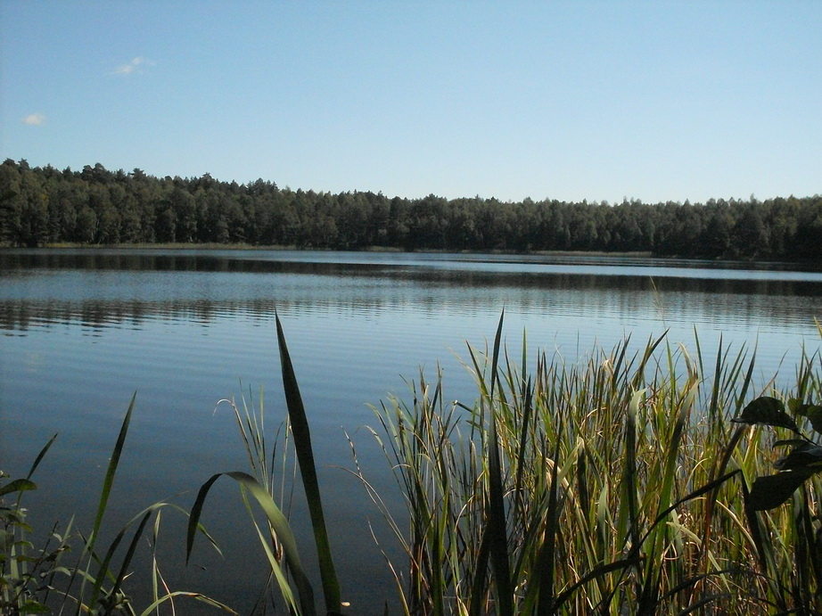 SDC10090.JPG