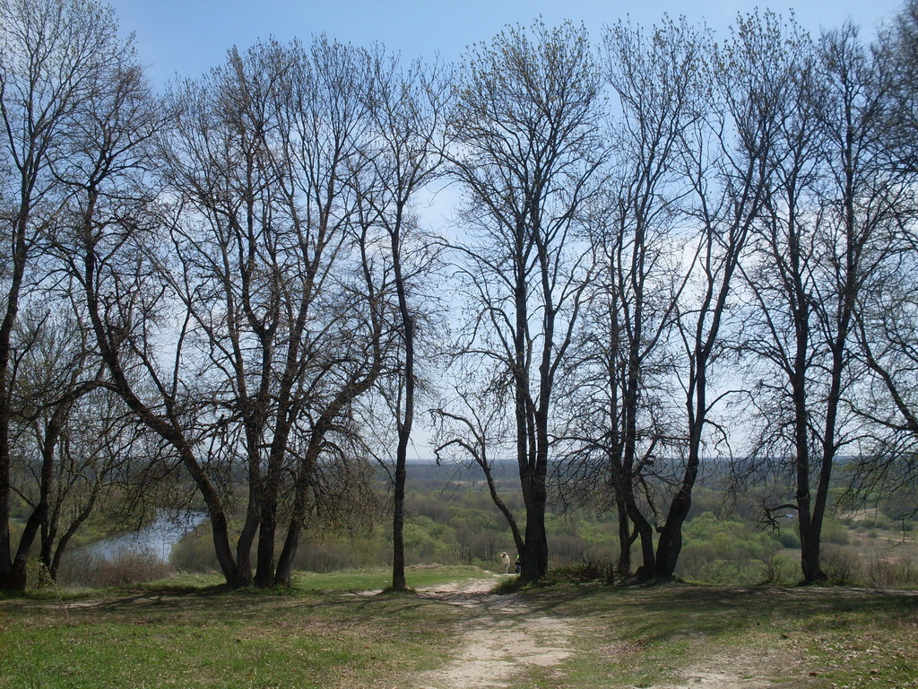 SDC10092.JPG