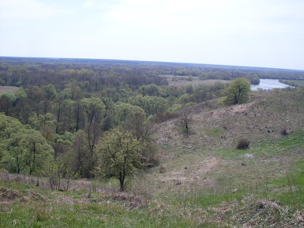 SDC10093.JPG