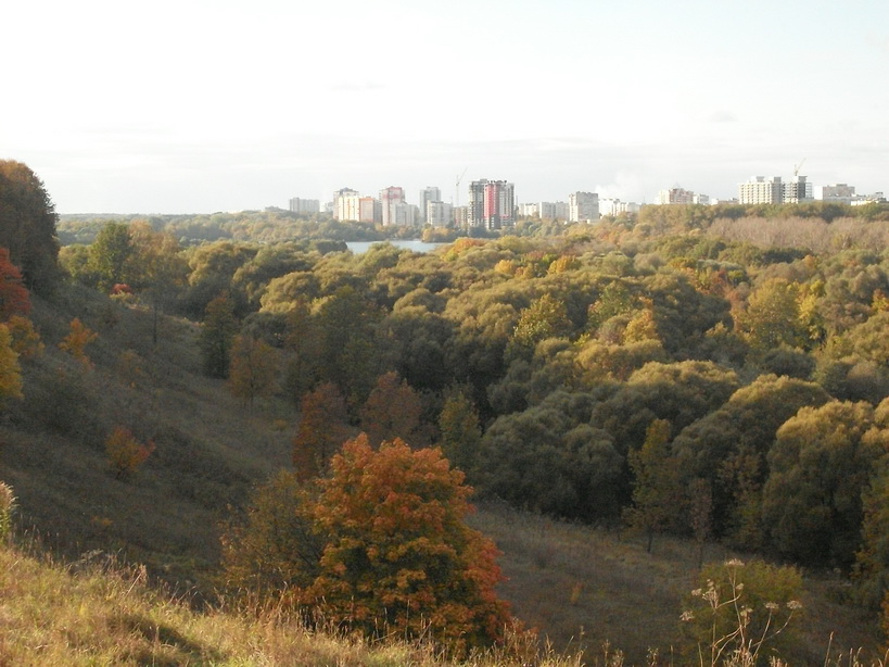 SDC10093_.jpg