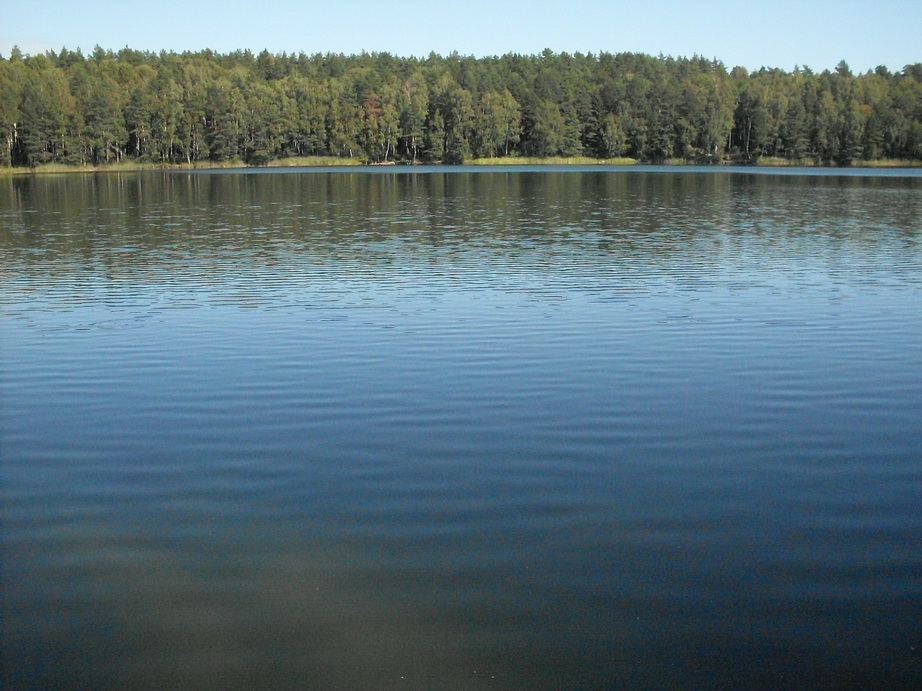 SDC10095.JPG