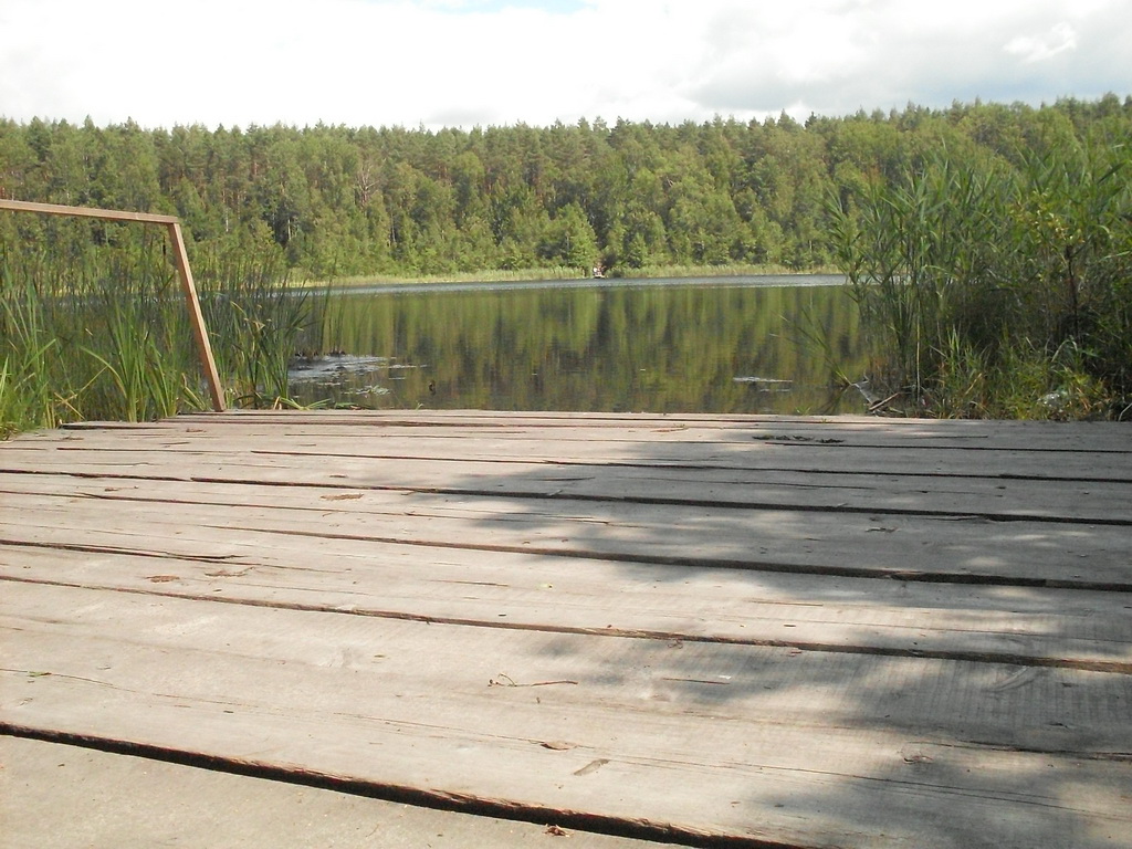 SDC10096.JPG