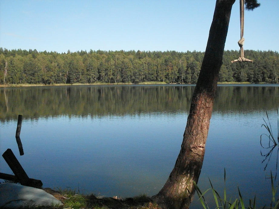 SDC10097.JPG