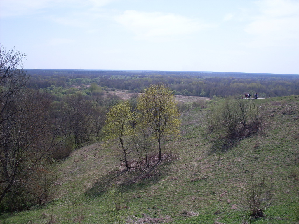 SDC10097.JPG