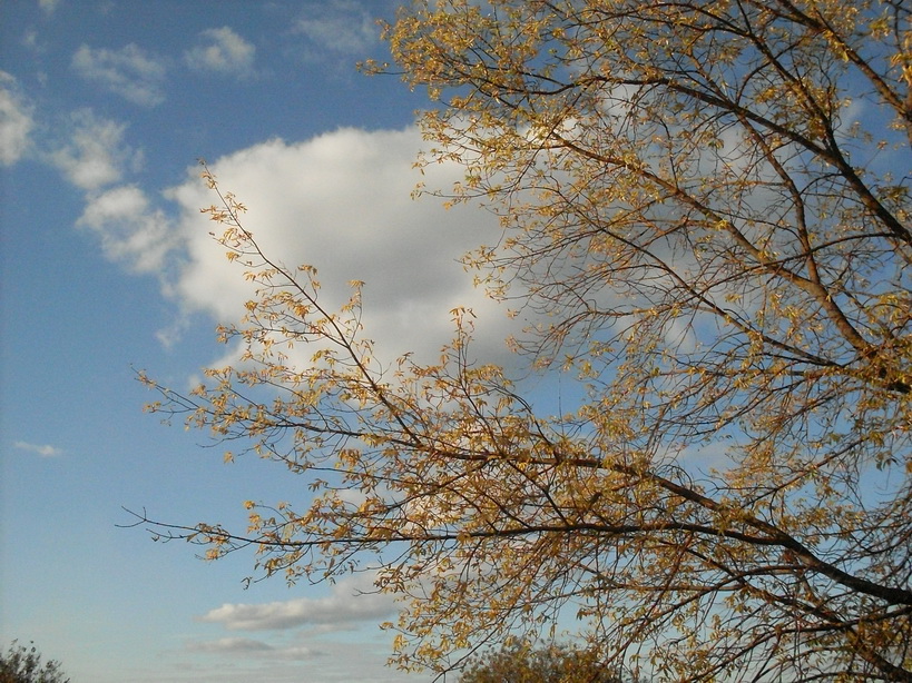 SDC10097_.jpg