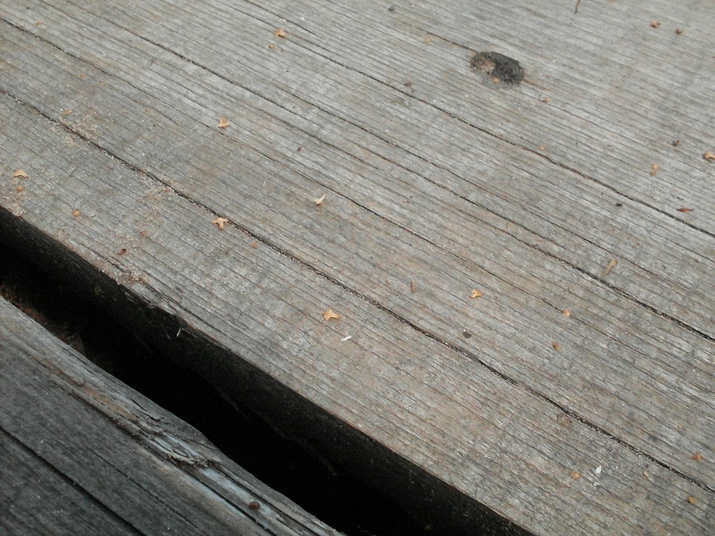 SDC10099.JPG