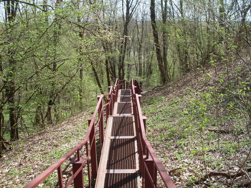 SDC10101.JPG