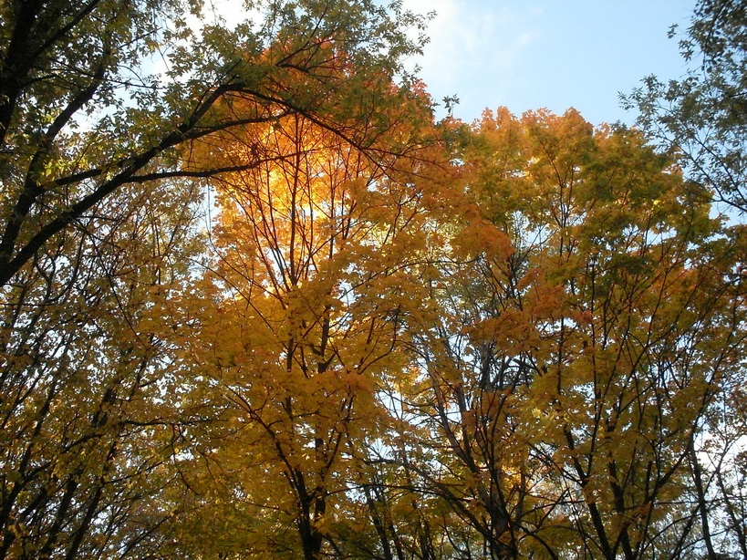 SDC10102_.jpg