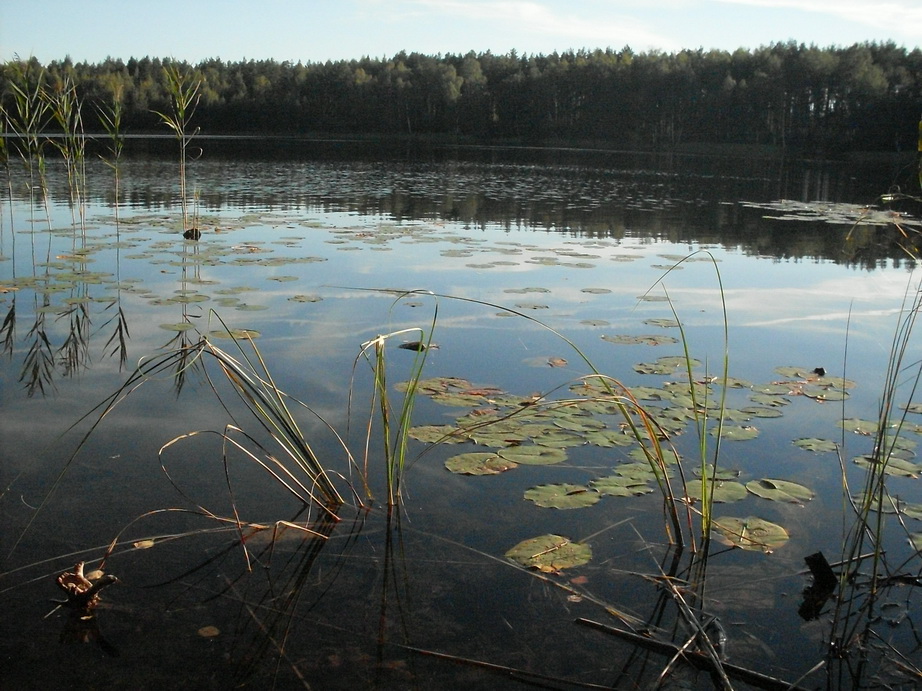 SDC10103.JPG