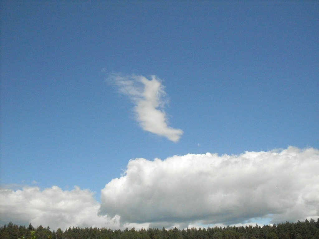 SDC10111.JPG