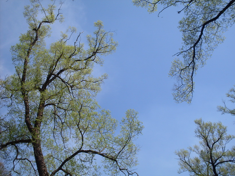 SDC10113.JPG