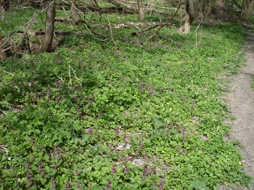 SDC10114.JPG