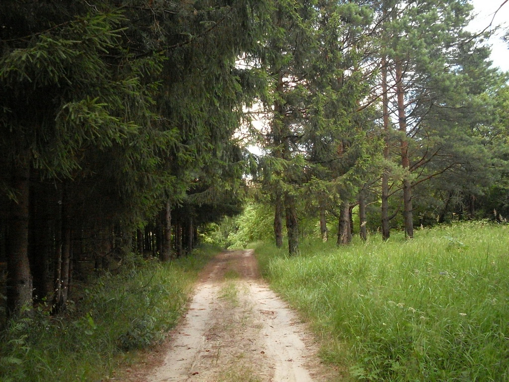 SDC10146.JPG