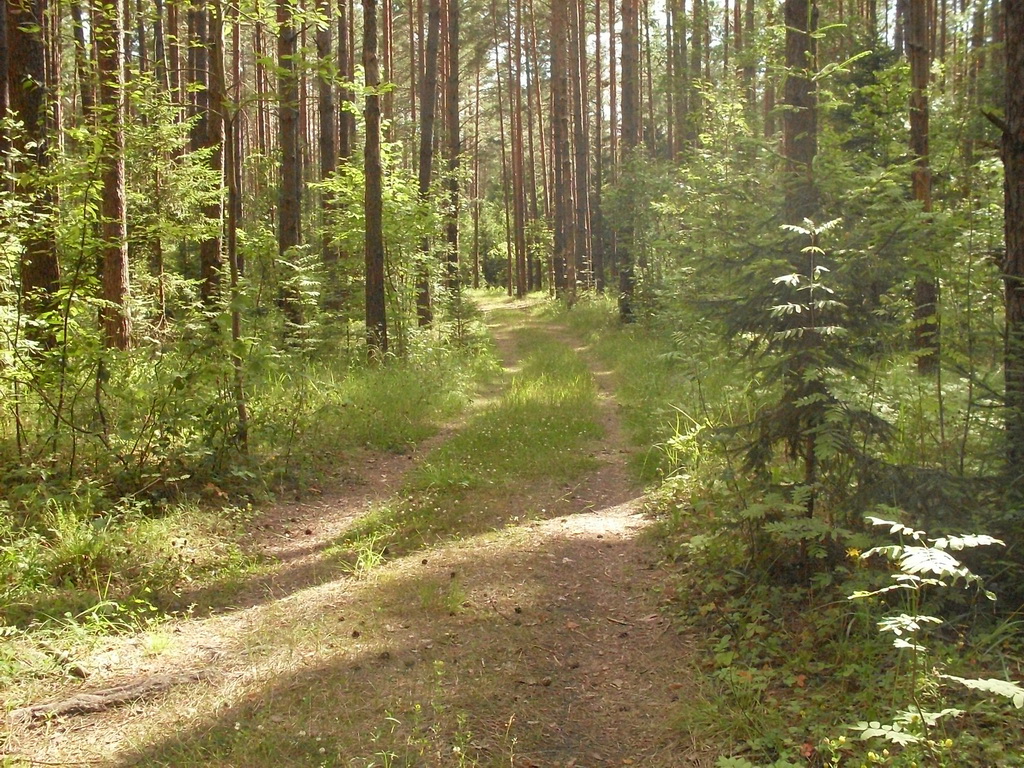 SDC10160.JPG