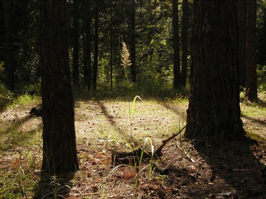 SDC10161.JPG