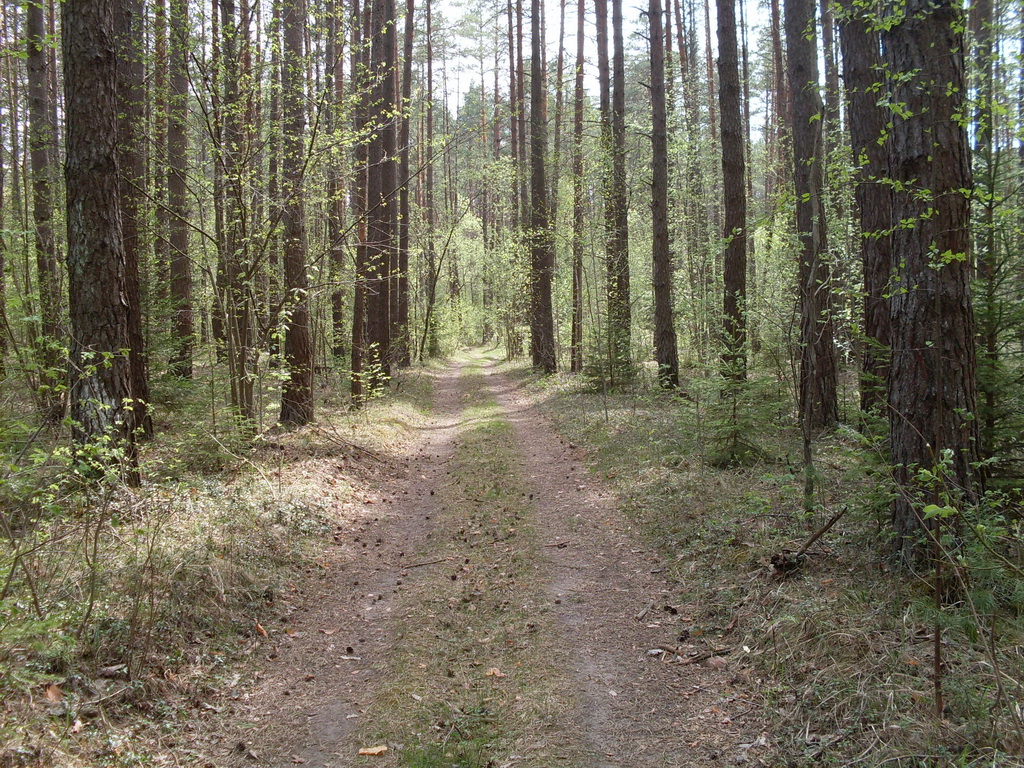 SDC10163.JPG