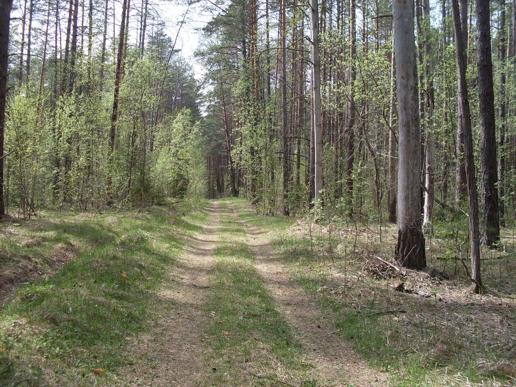 SDC10168.JPG