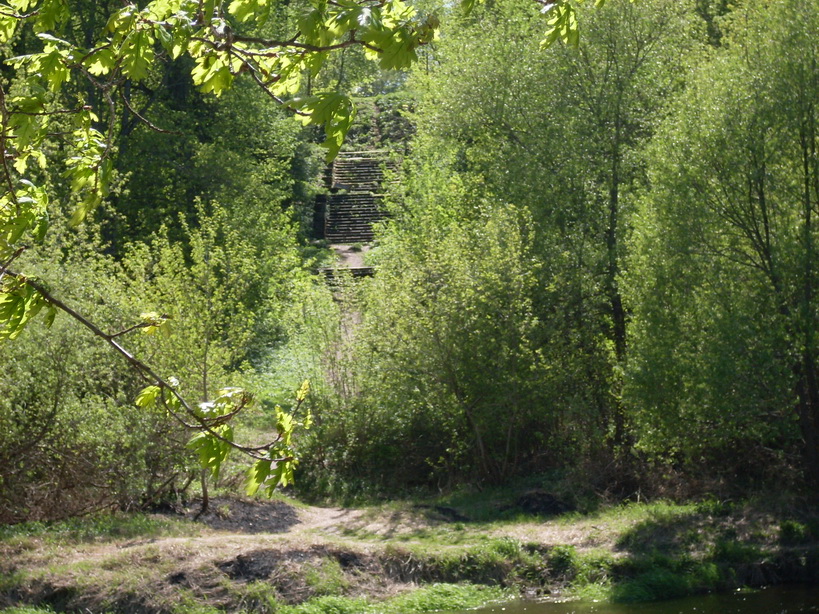 SDC10196.JPG