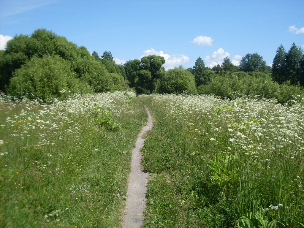 SDC10247.JPG