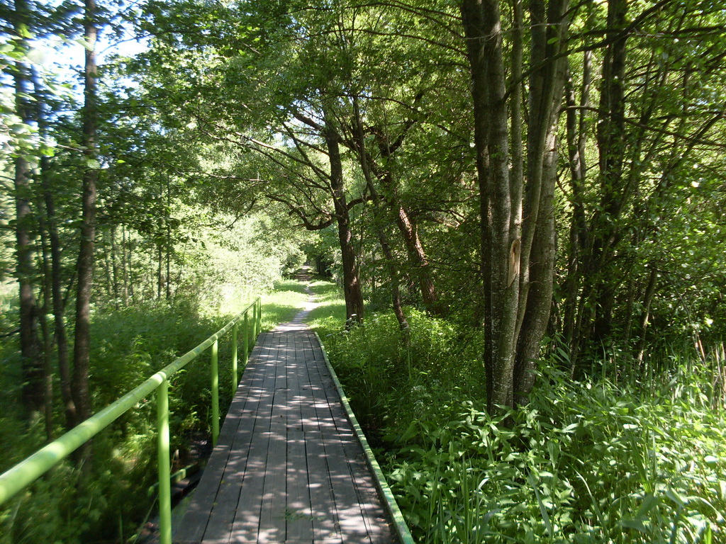 SDC10249.JPG