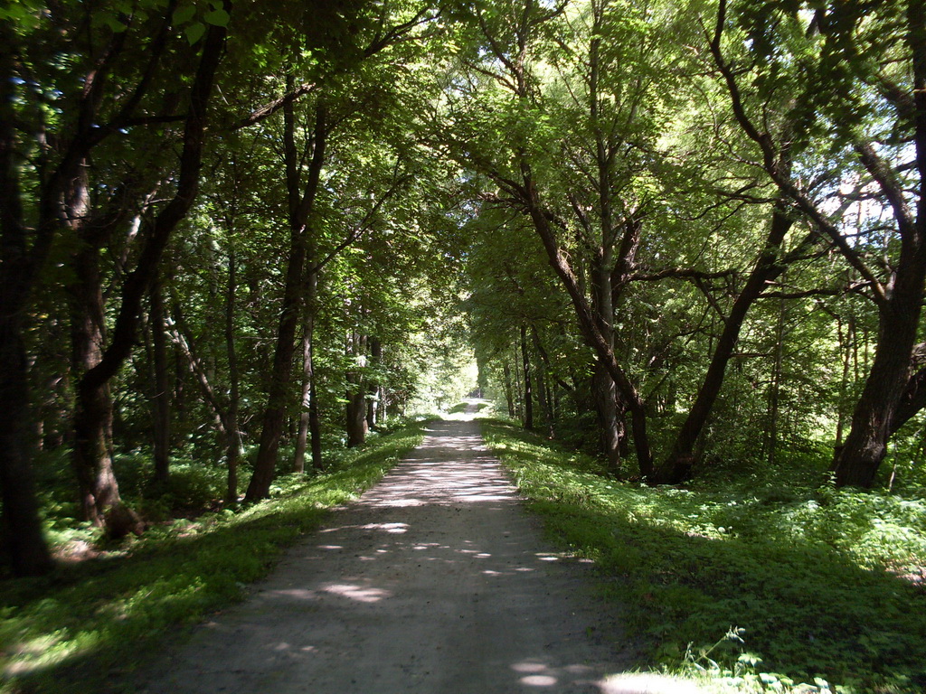 SDC10250.JPG