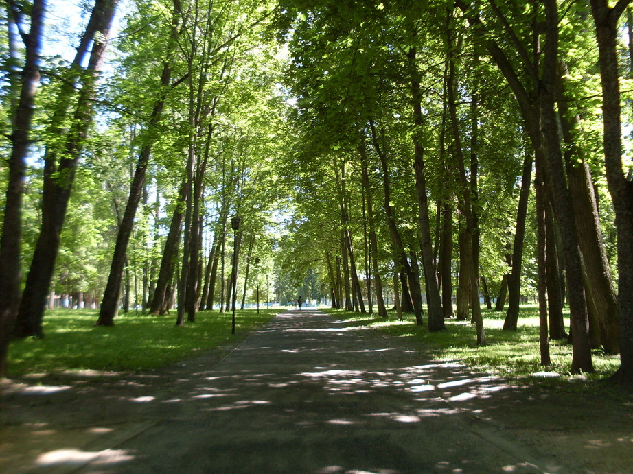 SDC10252.JPG