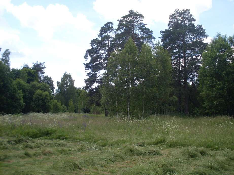 SDC10268.JPG