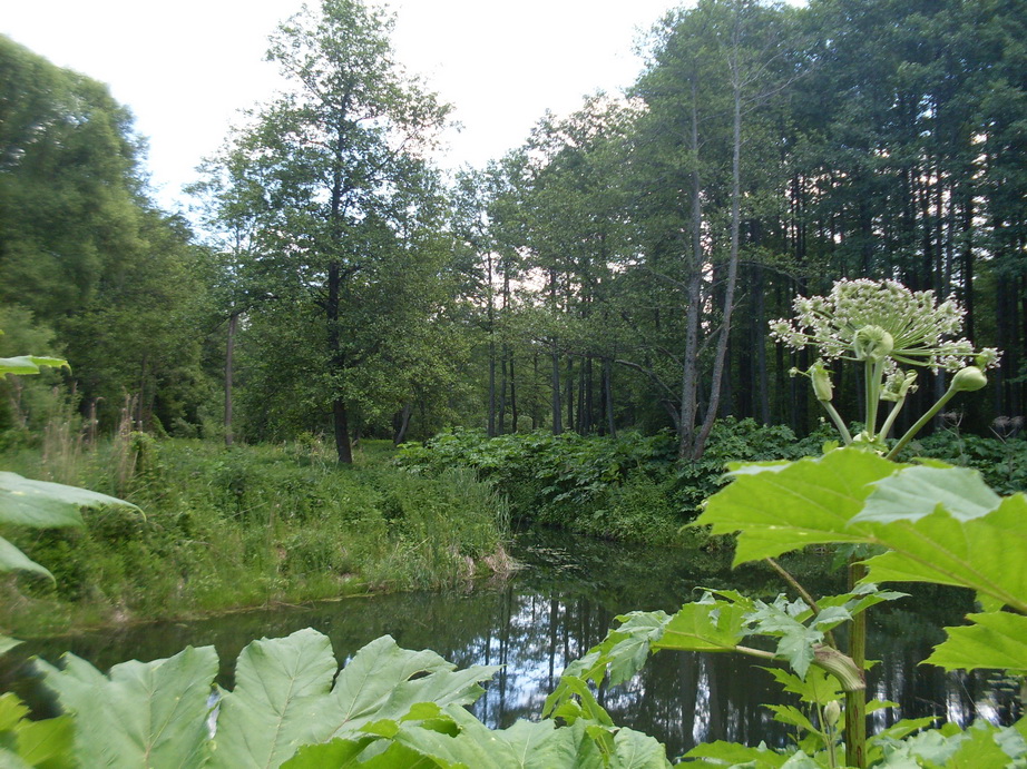 SDC10291.JPG