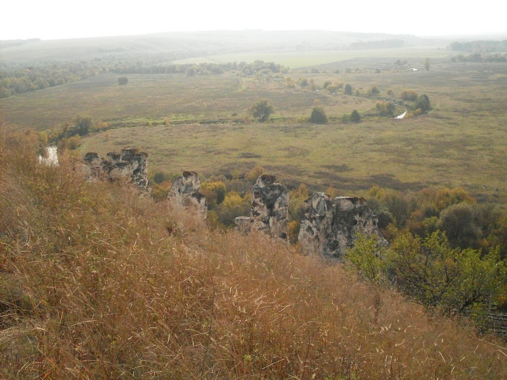 SDC10343.JPG