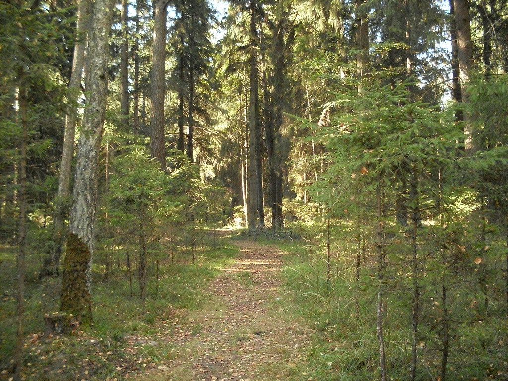 SDC10480.JPG