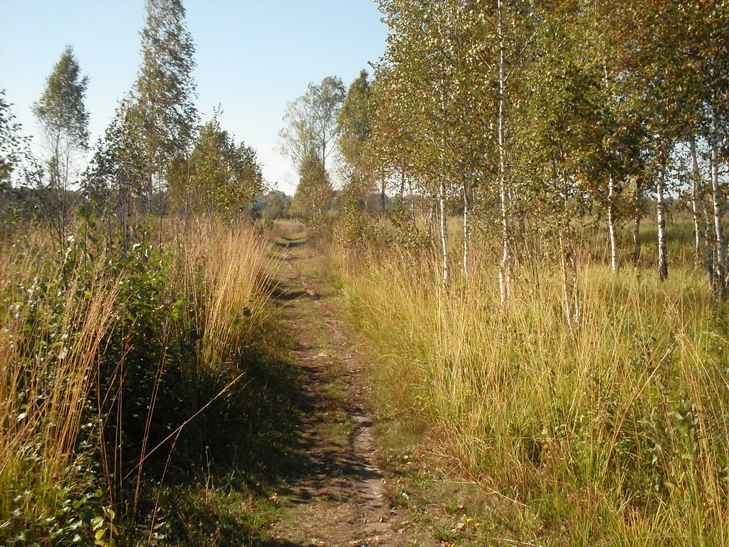 SDC10507.JPG