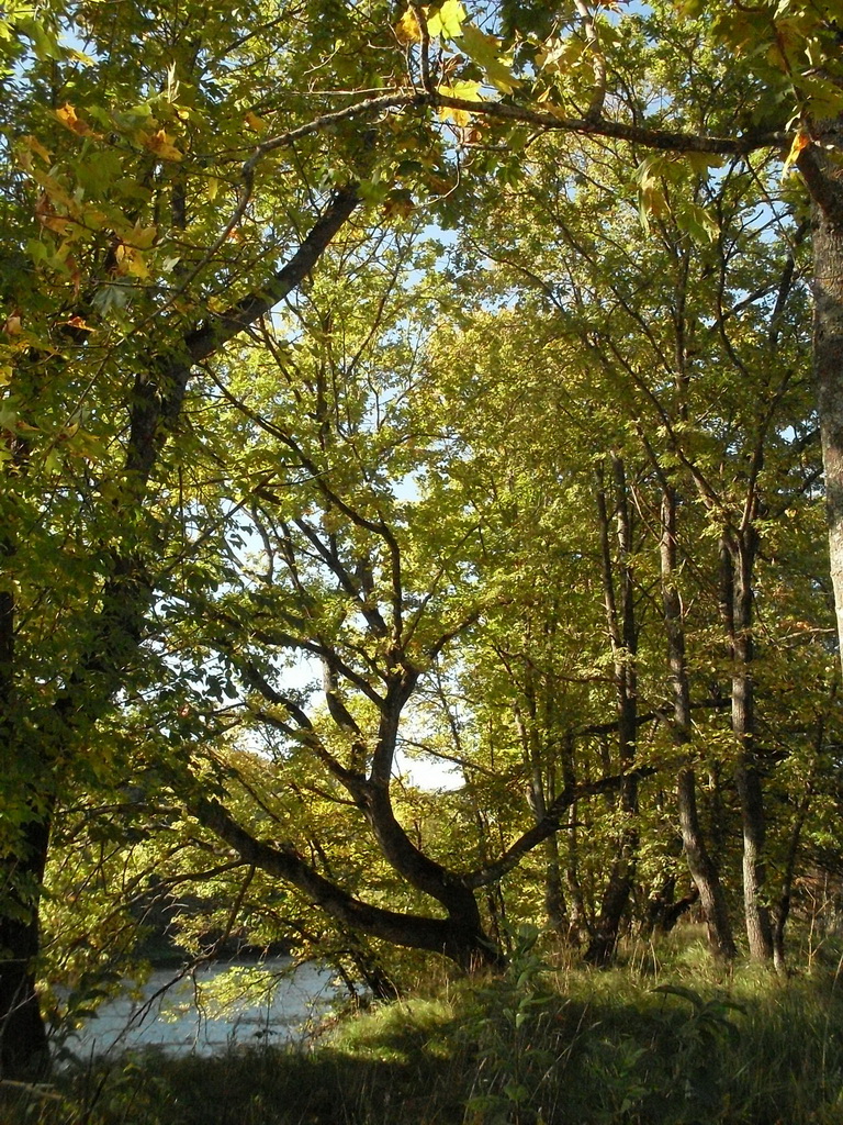 SDC10534.JPG