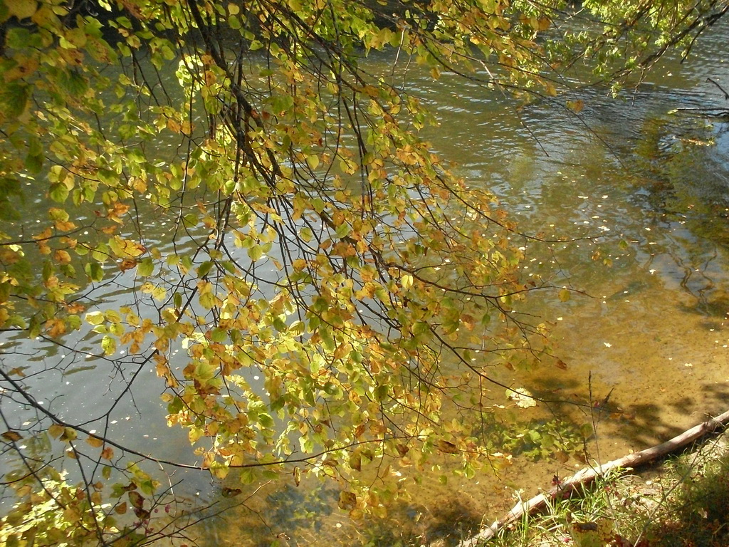 SDC10551.JPG