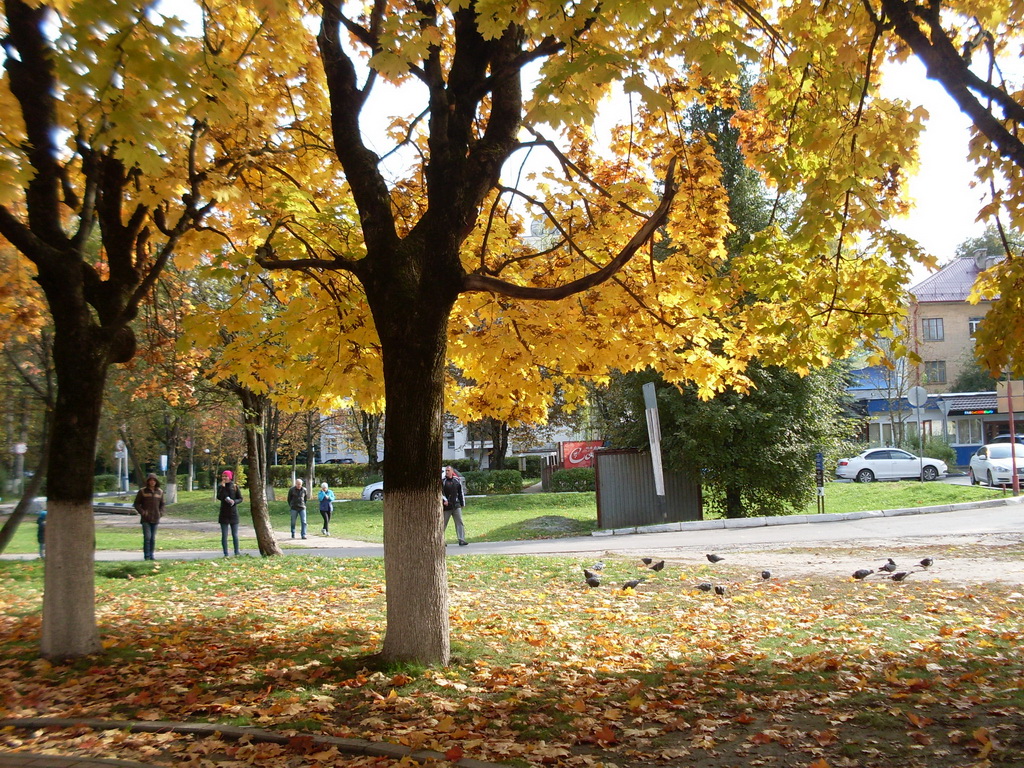 SDC10625.JPG