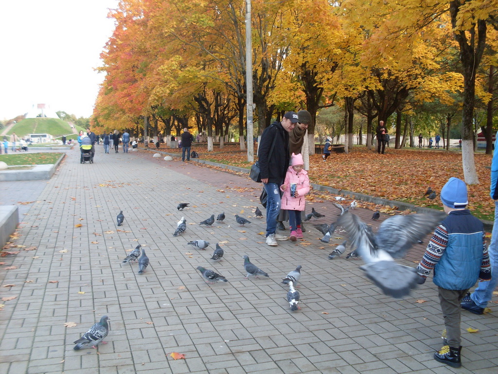 SDC10633.JPG