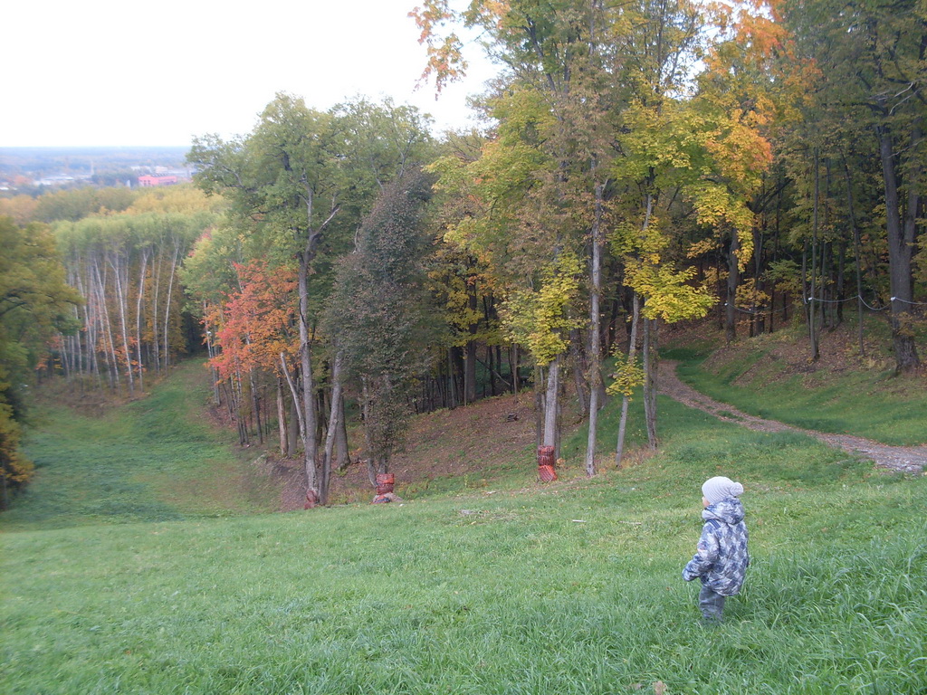 SDC10650.JPG