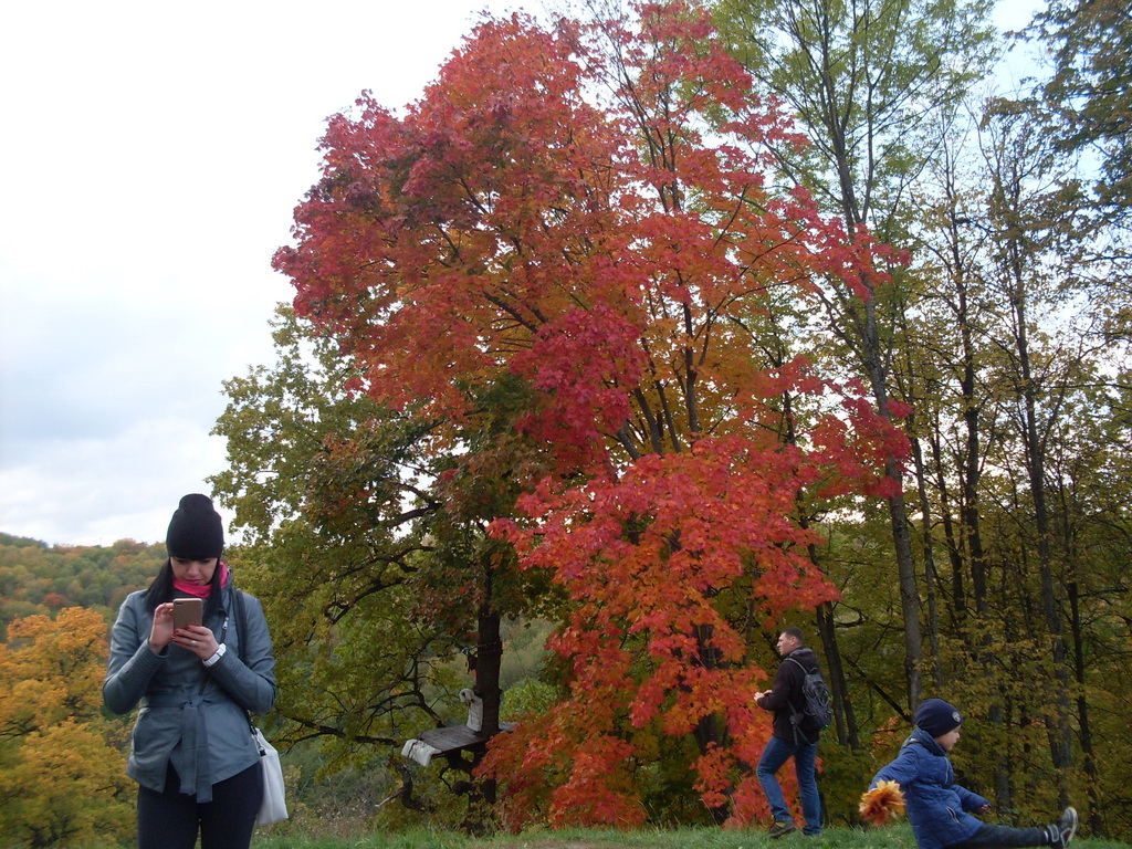 SDC10653.JPG
