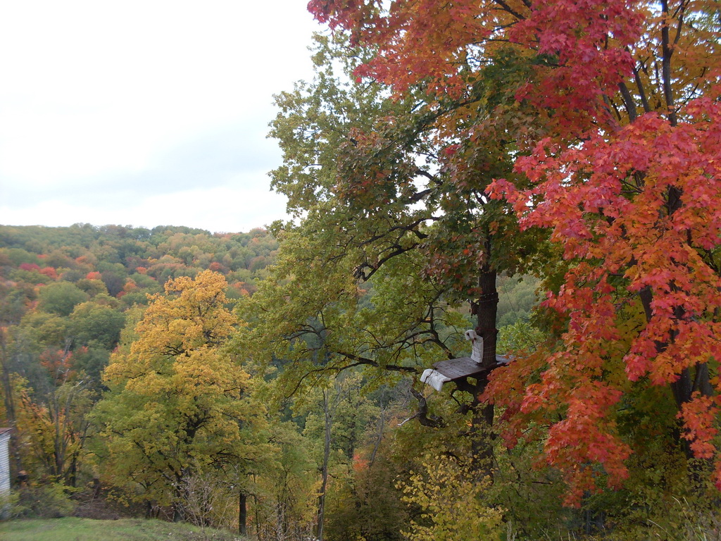 SDC10655.JPG