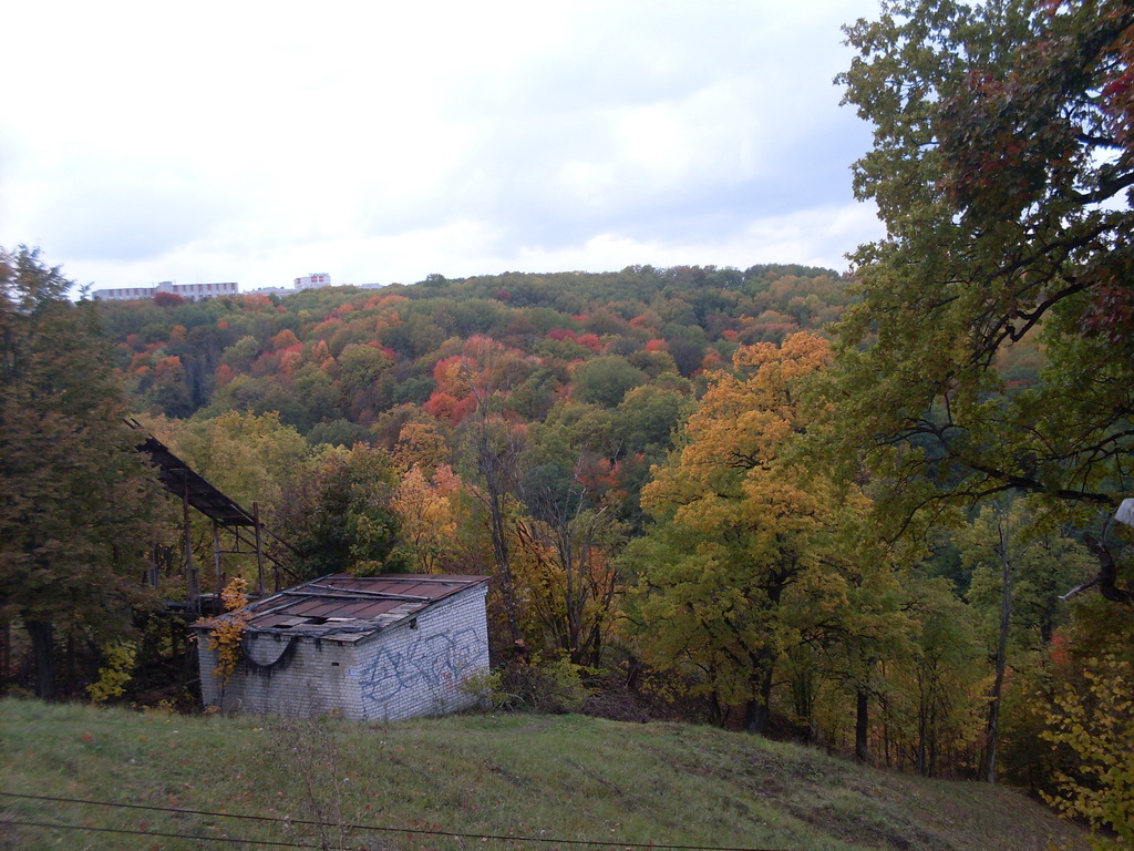 SDC10656.JPG